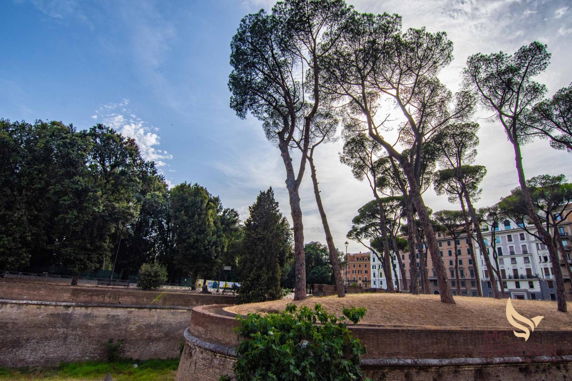 Apartment Mrbrown - Luxury Vaticano Rom